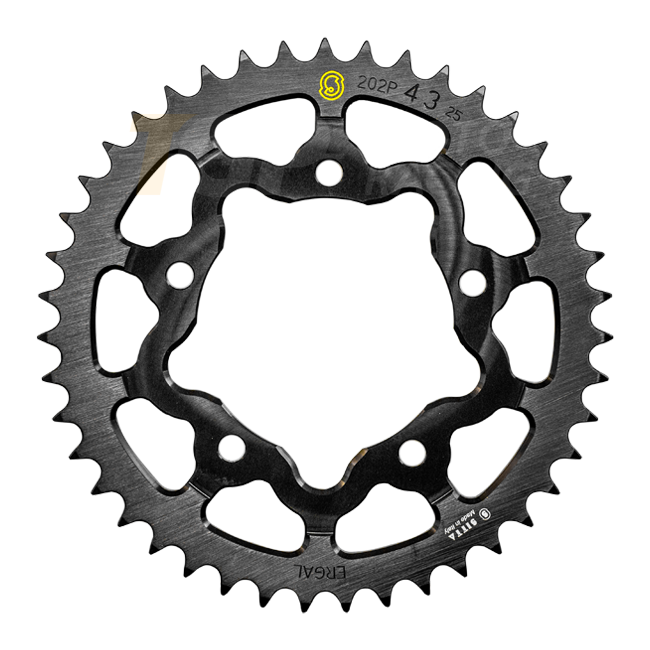 Sitta aluminijski lančanik Aprilia RSV4/1100 Factory/R/RR/RF (09-26) (202P) – 37-48 zuba, 525 razmak 