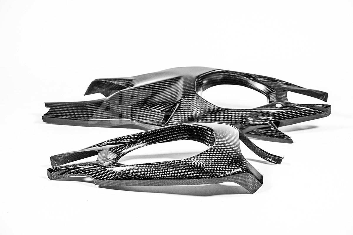 Pokrovi vilica 200g AP Carbon Line Ducati Panigale V4/S/R (25-26) 