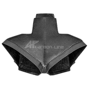 SBK Zračni kanal 200g AP Carbon Line Ducati Panigale V4/S/R (22-24) 