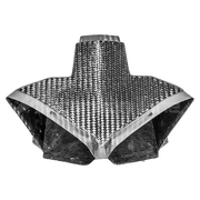 SBK Zračni kanal 400g AP Carbon Line Ducati Panigale V4/S/R (22-24) 