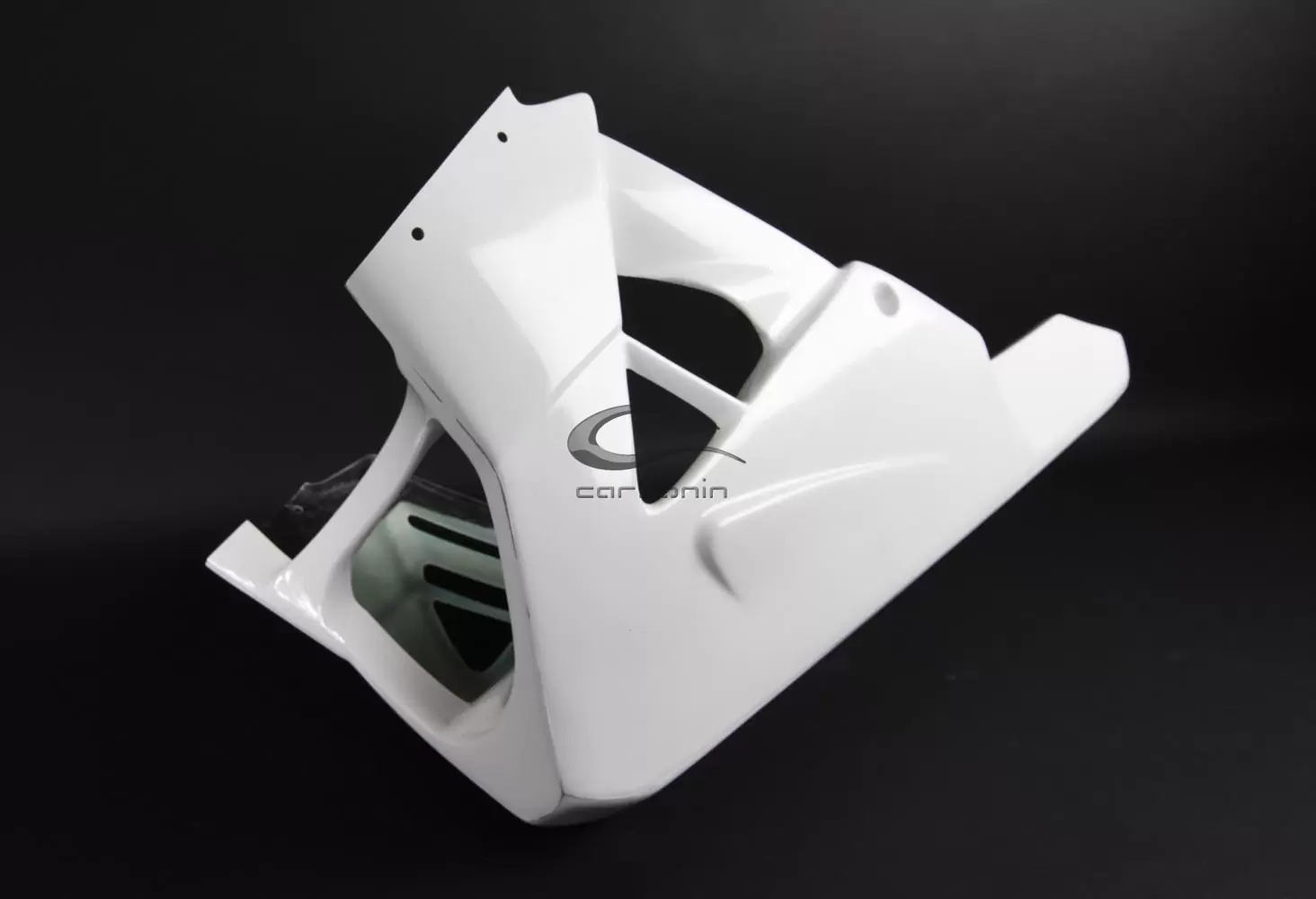 Kompletna obloga Avio Fiber za Aprilia RSV4/RR/RF/1100 Factory (15-20) Carbonin 