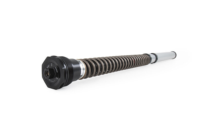 Öhlins NIX 30 Cartridge Kit FGK 229 Ducati Panigale V2 955 (20-24) 