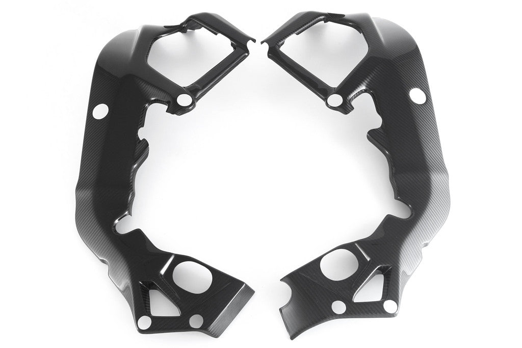 Karbon poklopac okvira Fullsix BMW S1000RR K46 (15-18) 